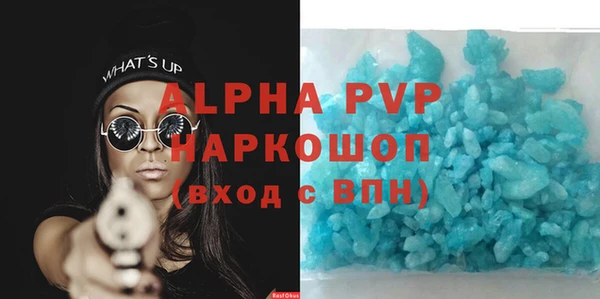 индика Осташков