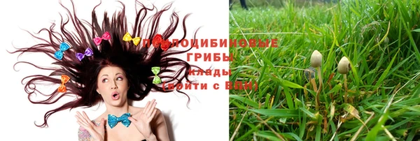 индика Осташков