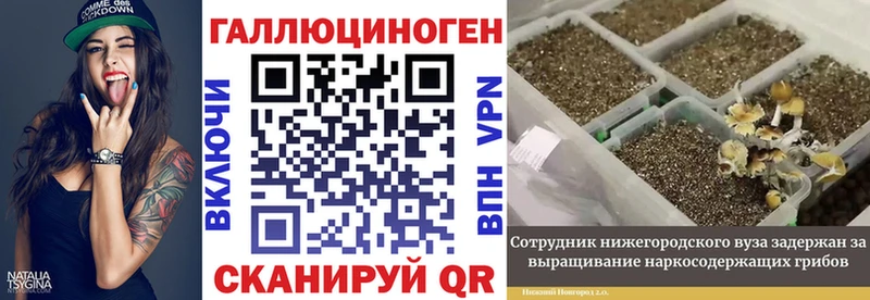 Псилоцибиновые грибы прущие грибы  Лакинск 